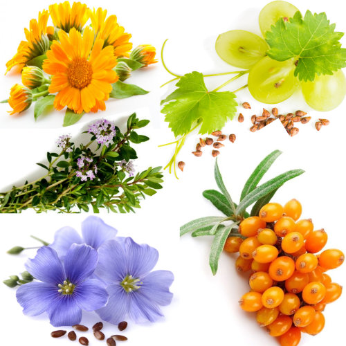 Купаж №87 СО2 экстрактов Антиэйдж  